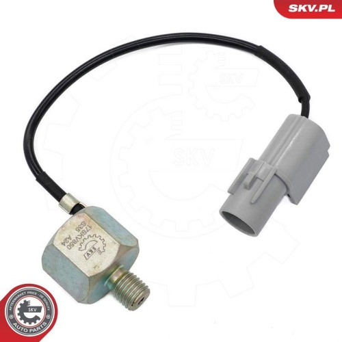 ESEN SKV Klopfsensor 17SKV850