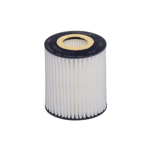 HENGST FILTER &Ouml;lfilter E166H D538