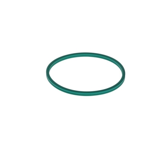 BOSCH Dichtung F 00N 200 053