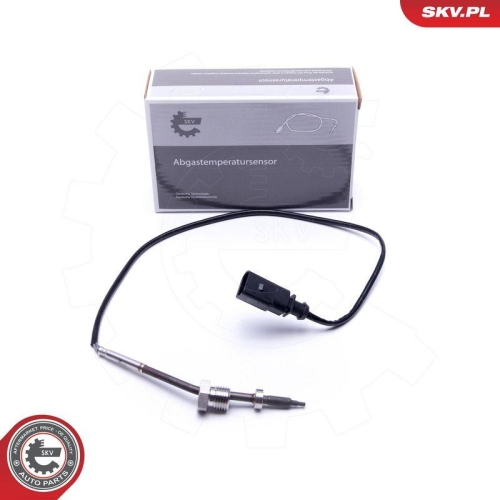 ESEN SKV Sensor, Abgastemperatur 30SKV419