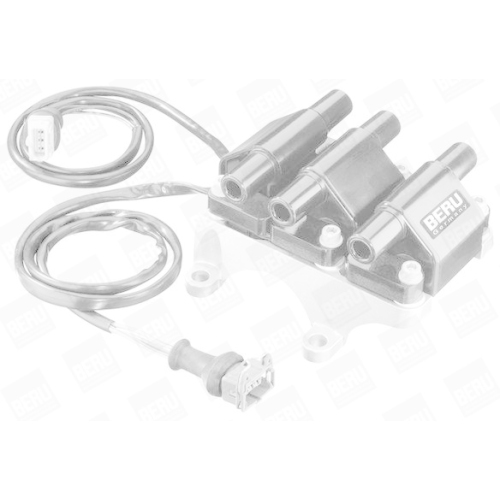 BorgWarner (BERU) Zündspule ZSE007
