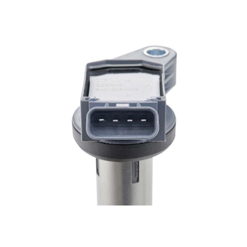 BorgWarner (BERU) Zündspule