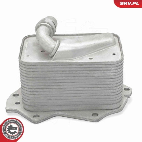 ESEN SKV &Ouml;lk&uuml;hler, Motor&ouml;l 31SKV368