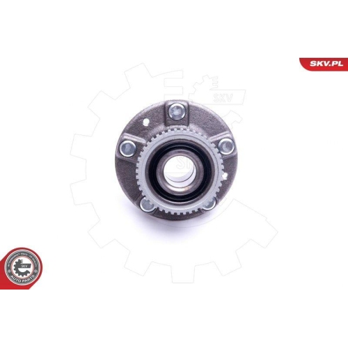 ESEN SKV Radlagersatz 29SKV399