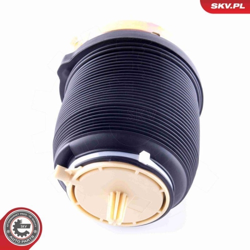 ESEN SKV Luftfeder, Fahrwerk 58SKV029