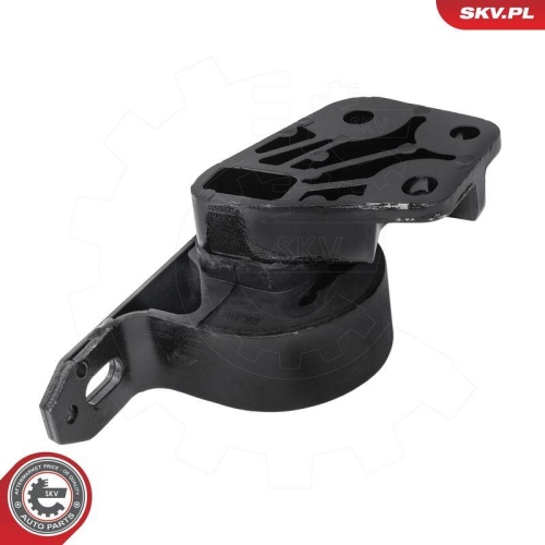 ESEN SKV Lagerung, Motor 75SKV039