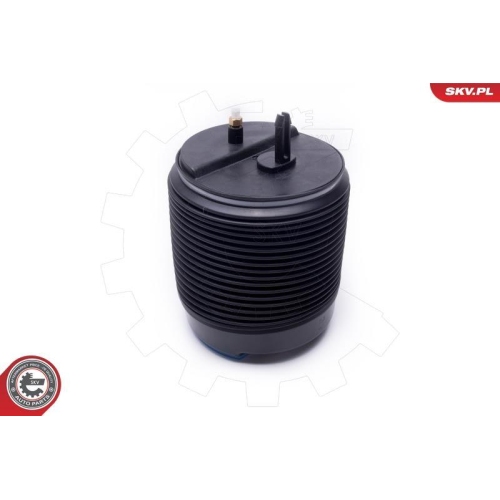 ESEN SKV Luftfeder, Fahrwerk