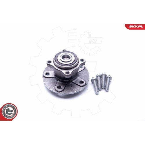 ESEN SKV Radlagersatz