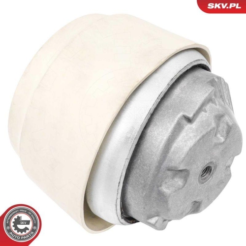 ESEN SKV Lagerung, Motor 75SKV006