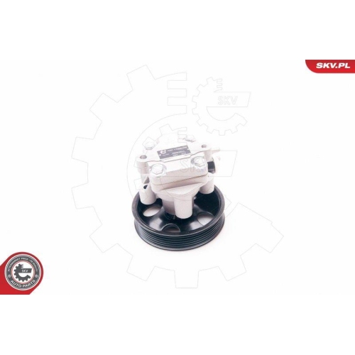 ESEN SKV Hydraulikpumpe, Lenkung