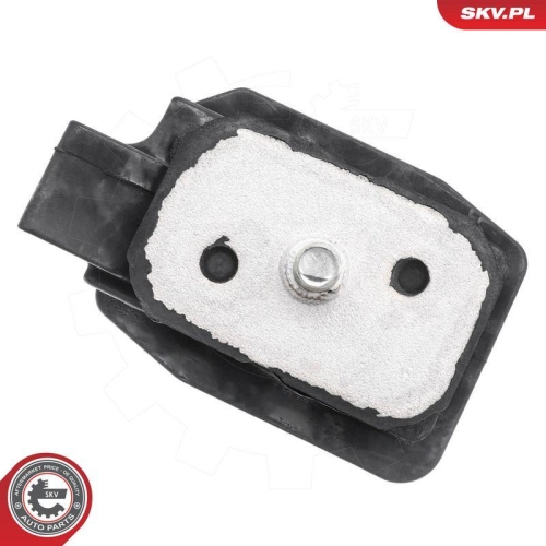 ESEN SKV Lagerung, Schaltgetriebe 75SKV801