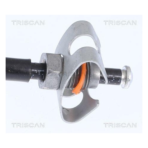 TRISCAN Bremsschlauch 8150 28313