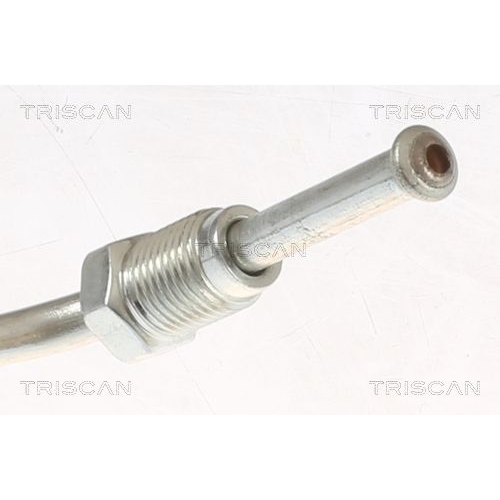 TRISCAN Bremsschlauch 8150 29193