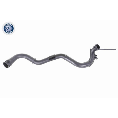 VAICO Ladeluftschlauch Q+, Erstausr&uuml;sterqualit&auml;t V46-0742