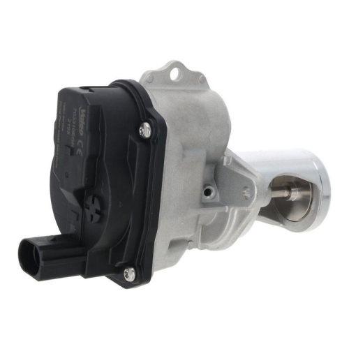 VALEO AGR-Ventil 703310