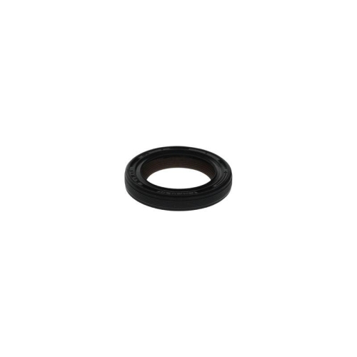 BOSCH Dichtung F 00N 203 874