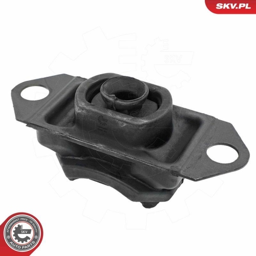 ESEN SKV Lagerung, Motor 75SKV080
