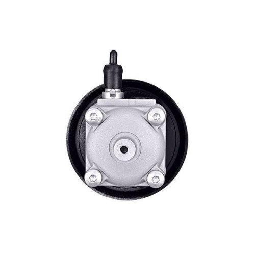 HELLA Hydraulikpumpe, Lenkung 8TL 359 003-061