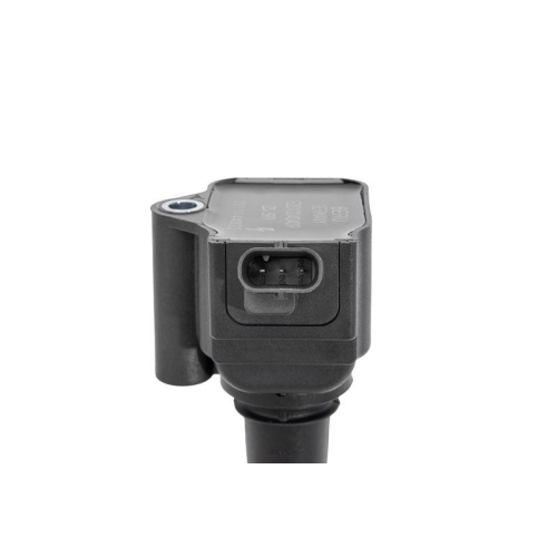 BorgWarner (BERU) Z&uuml;ndspule ZS597