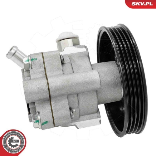 ESEN SKV Hydraulikpumpe, Lenkung