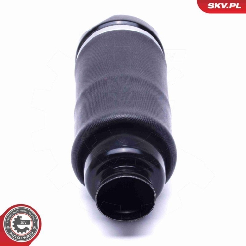 ESEN SKV Luftfederbein 58SKV066