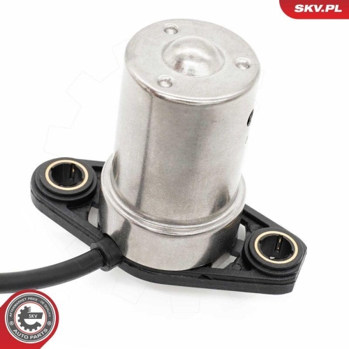 ESEN SKV Sensor, Motor&ouml;lstand 17SKV937