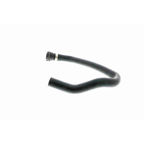 VAICO Kühlerschlauch Original VAICO Qualität