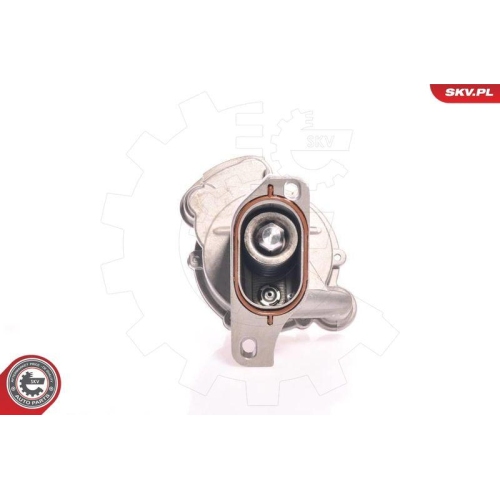 ESEN SKV Unterdruckpumpe, Bremsanlage