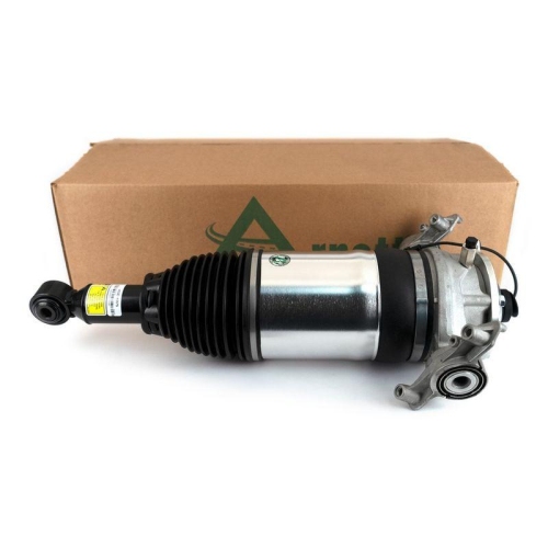 Arnott Luftfederbein Original Arnott eRide Produkt ASE-4375