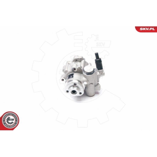 ESEN SKV Hydraulikpumpe, Lenkung