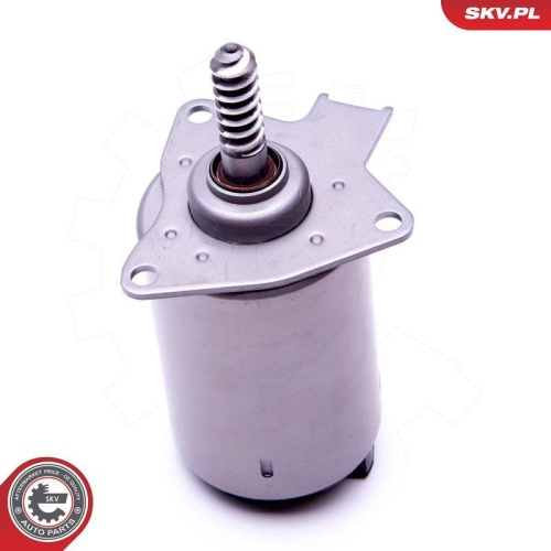 ESEN SKV Stellelement, Exzenterwelle (variabler Ventilhub) 96SKV087