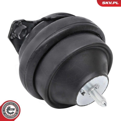 ESEN SKV Lagerung, Motor 75SKV114