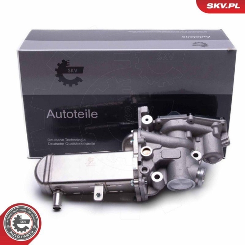 ESEN SKV AGR-Ventil 14SKV241