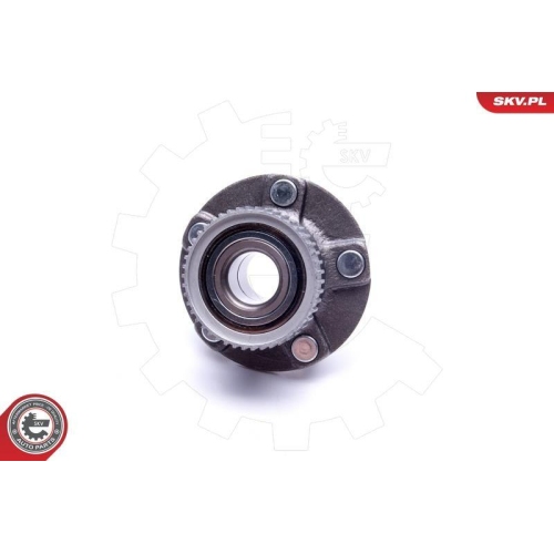 ESEN SKV Radlagersatz