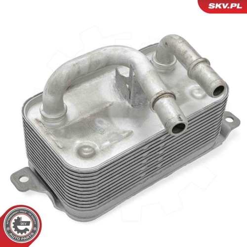 ESEN SKV &Ouml;lk&uuml;hler, Automatikgetriebe 31SKV319