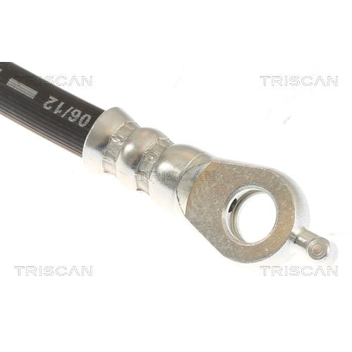 TRISCAN Bremsschlauch 8150 13307