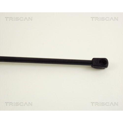 TRISCAN Gasfeder, Koffer-/Laderaum 8710 29211