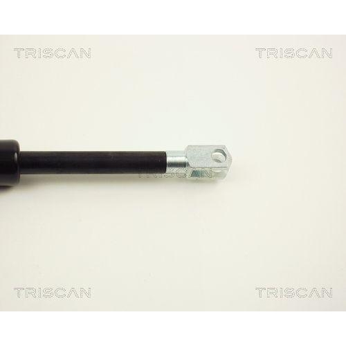 TRISCAN Gasfeder, Koffer-/Laderaum 8710 2312