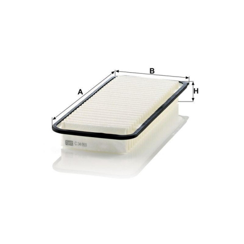 MANN-FILTER Luftfilter C 34 003