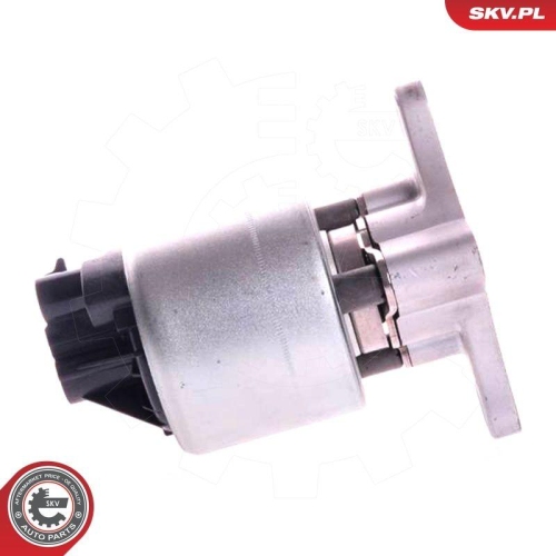 ESEN SKV AGR-Ventil 14SKV002