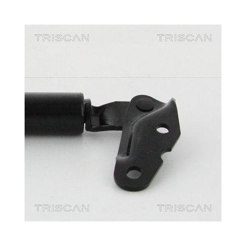 TRISCAN Gasfeder, Koffer-/Laderaum 8710 13291