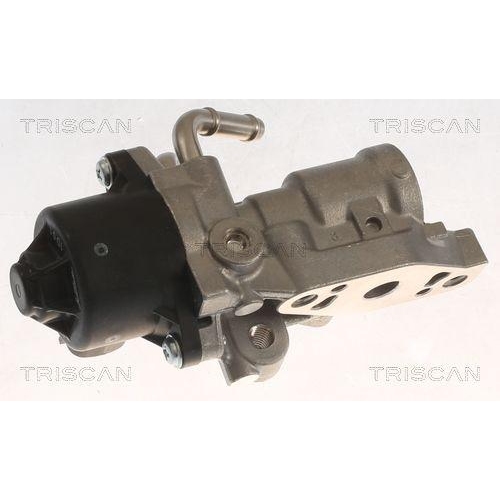 TRISCAN AGR-Ventil 8813 13070