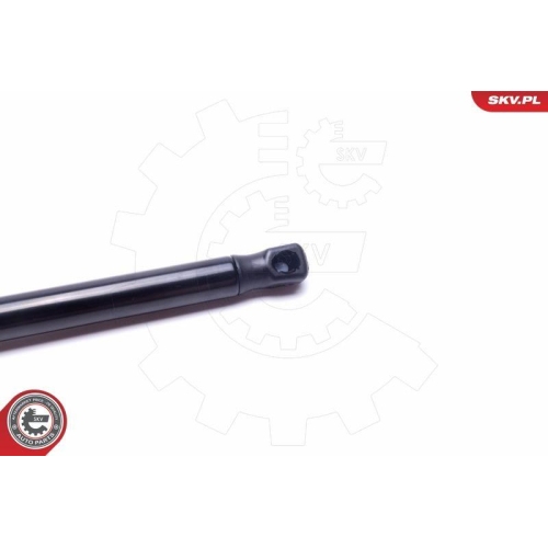 ESEN SKV Gasfeder, Koffer-/Laderaum