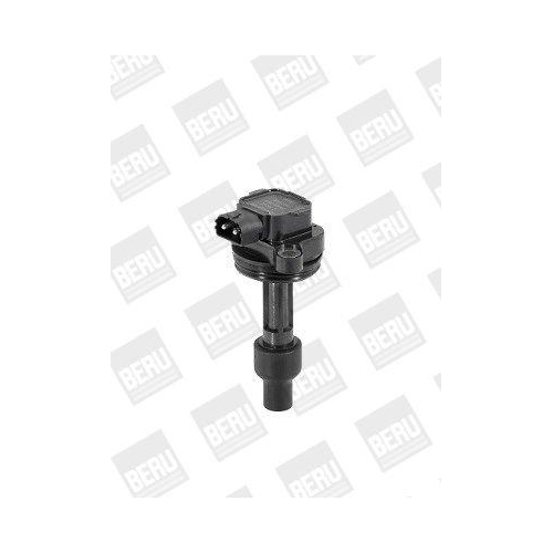 BorgWarner (BERU) Z&uuml;ndspule ZS446