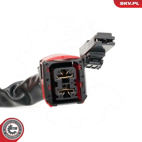 ESEN SKV Schlosssatz, Schlie&szlig;anlage 65SKV815