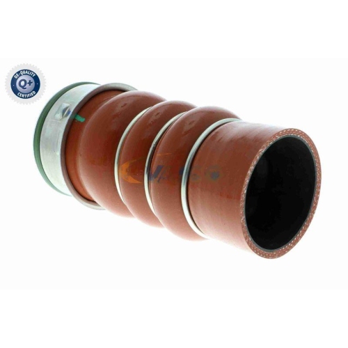 VAICO Ladeluftschlauch Q+, Erstausrüsterqualität