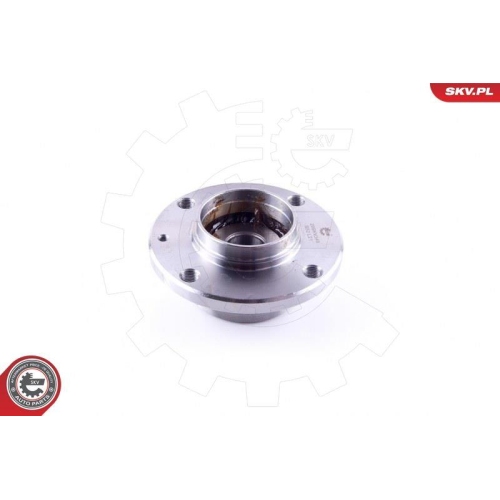 ESEN SKV Radlagersatz