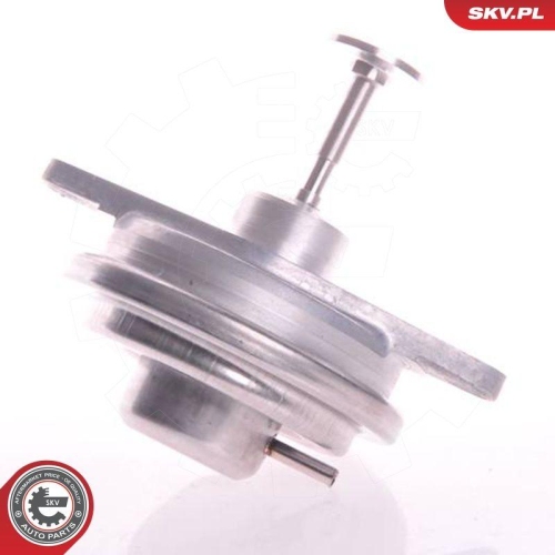 ESEN SKV AGR-Ventil 14SKV022
