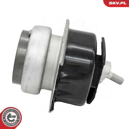 ESEN SKV Lagerung, Motor 75SKV255