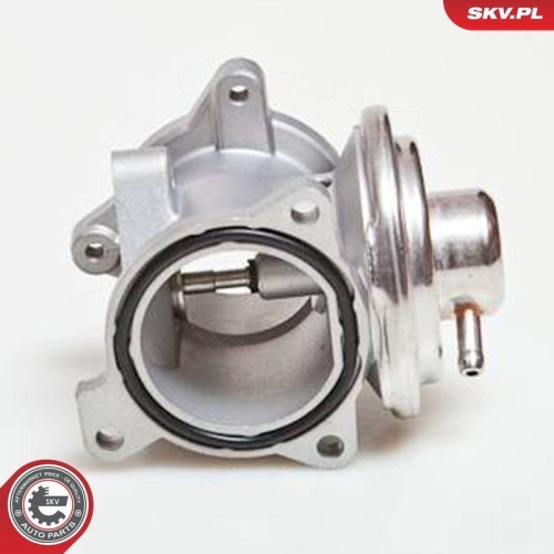 ESEN SKV AGR-Ventil 14SKV034